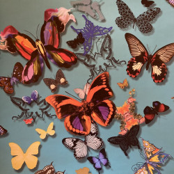 Papier peint butterfly